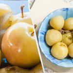 Jablka sycená oxidem uhličitým se rozplývají v ústech: nejzdravější svačina, jakou si můžete představit Jablka sycená oxidem uhličitým se rozplývají v ústech: nejzdravější svačina,