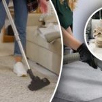 Nezůstane po něm ani stopa: 7 kroků k odstranění zápachu moči z koberce Nezůstane po něm ani stopa: 7 kroků k odstranění zápachu