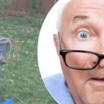 Podivný nález u stromu souseda zmátl: jaké tajemství skrývá. Podivný nález u stromu souseda zmátl: jaké tajemství skrývá.