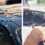 Ptáci už nebudou kydat hnůj na auta: tady je, co