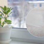 Výsledek vás ohromí: recept na prostředek, který vybělí plastový parapet. Výsledek vás ohromí: recept na prostředek, který vybělí plastový parapet.